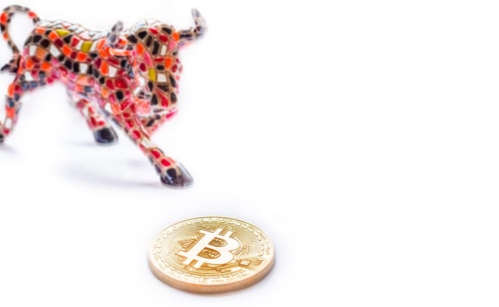 bitcoin bull market