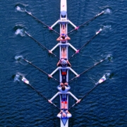 rowers synchronized