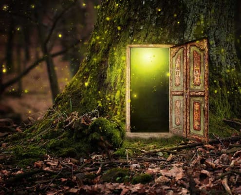 A door in a tree opening up into a fairytale world