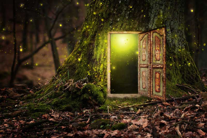 A door in a tree opening up into a fairytale world
