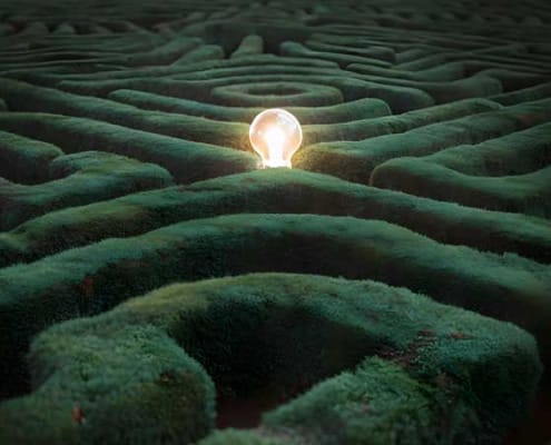 a light bulb in the center of a hedge maze