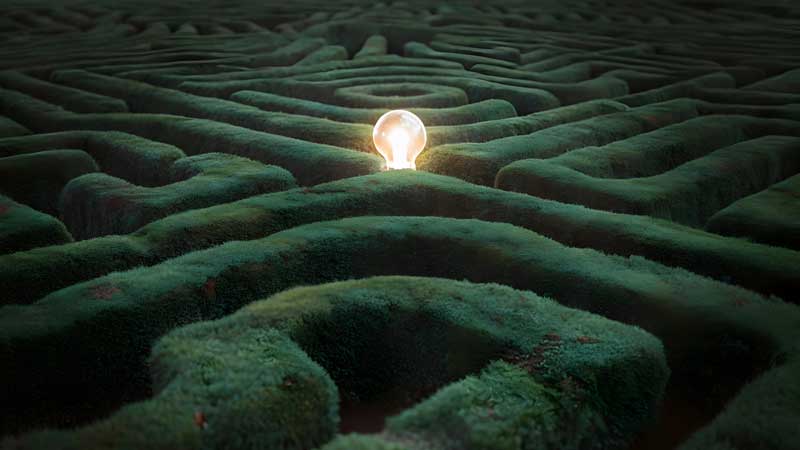 a light bulb in the center of a hedge maze